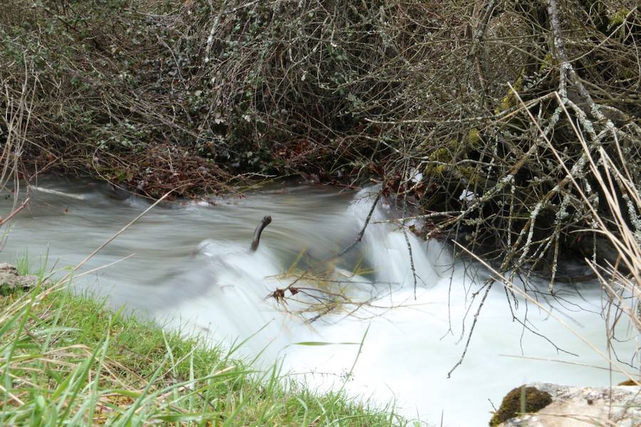 Biosfera trail 2016 (III)