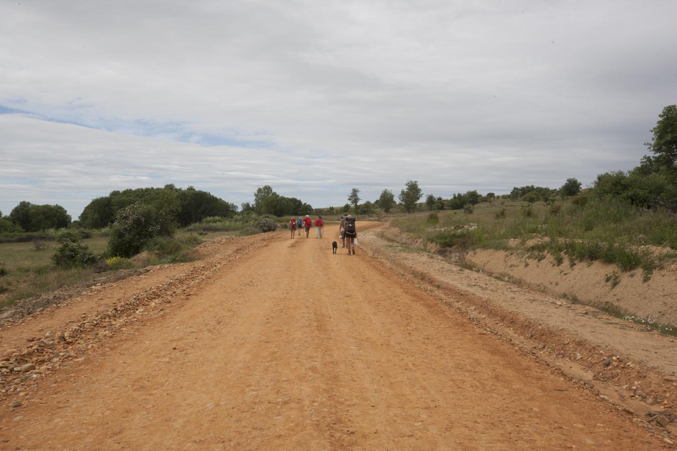 Las heridas del Camino