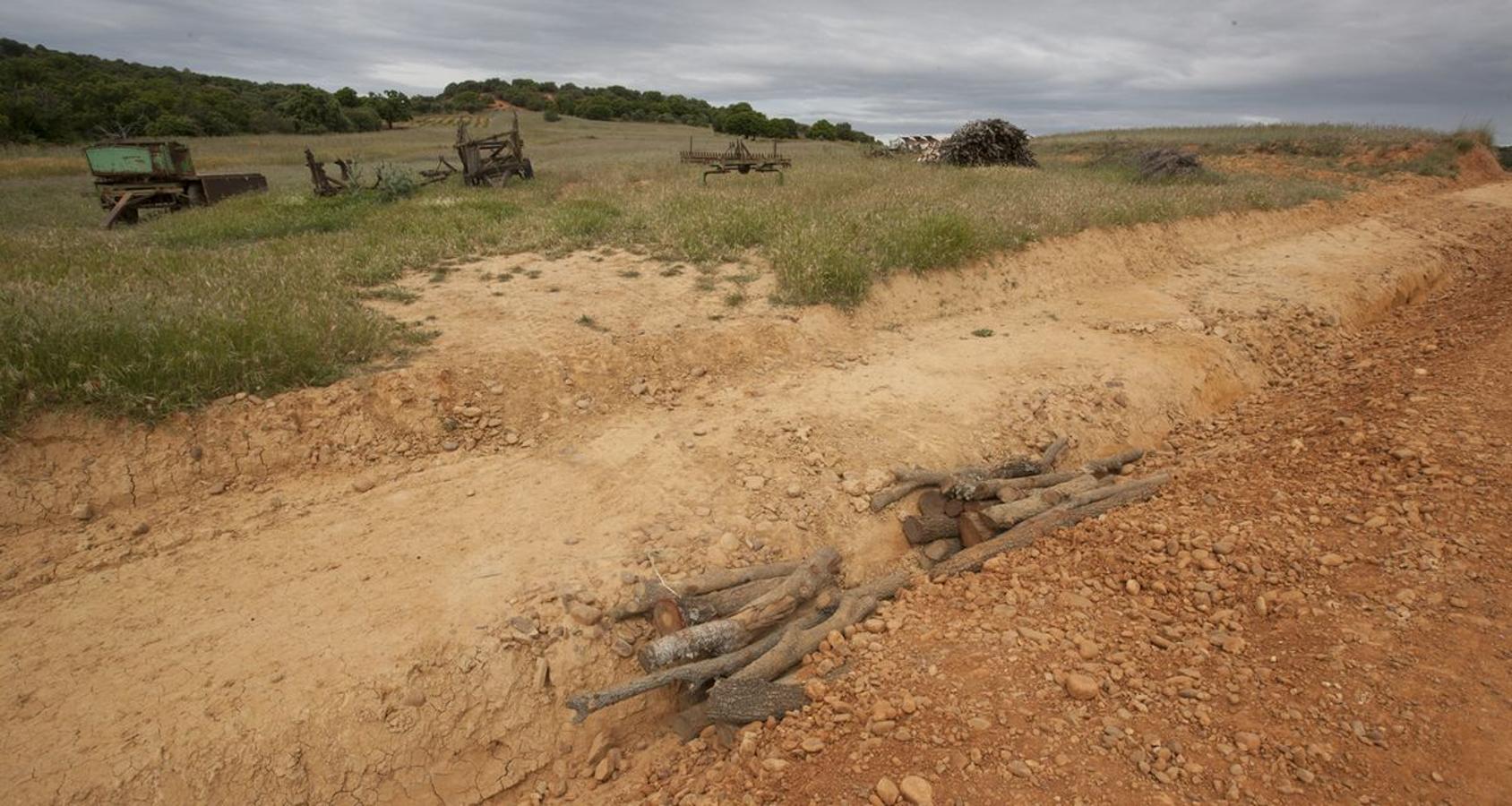 Las heridas del Camino