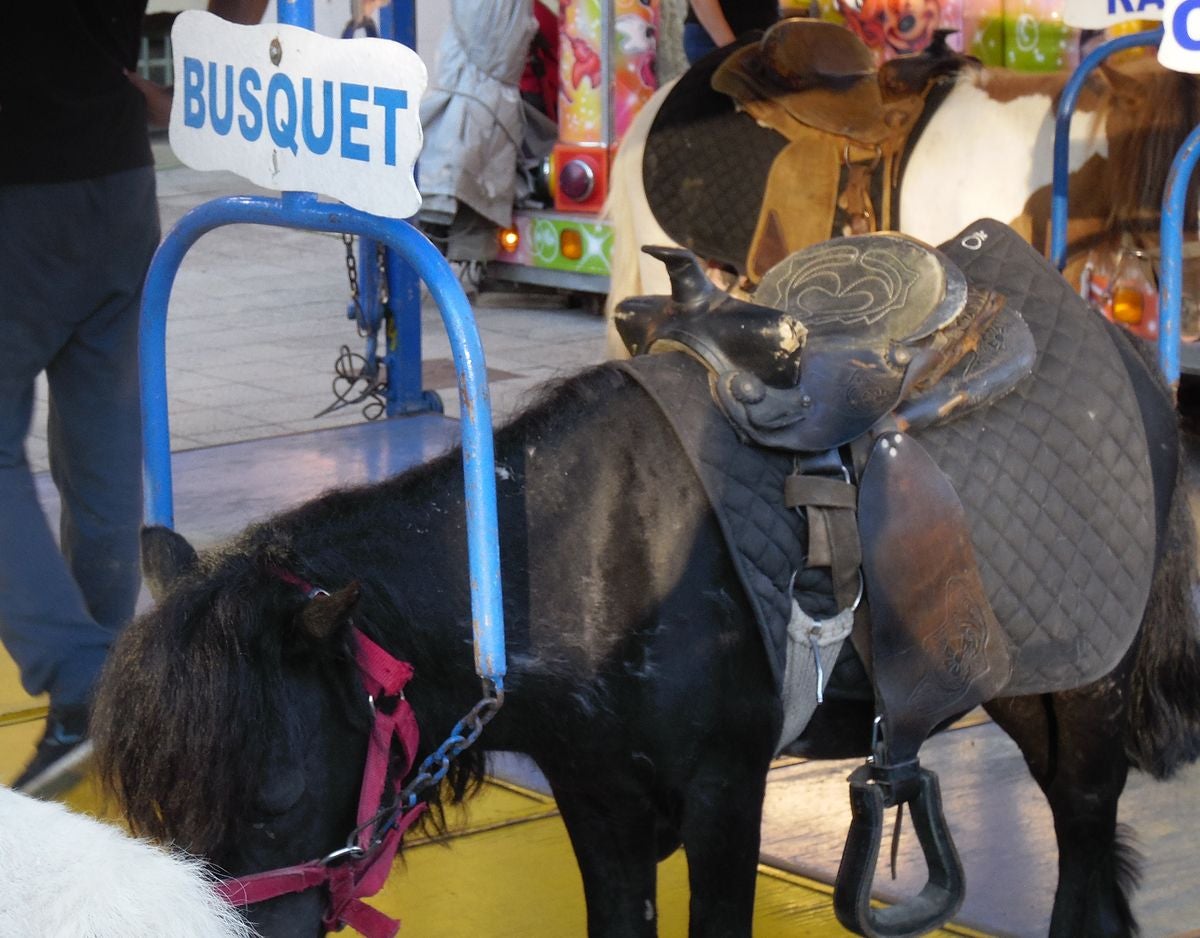 Luces y sonidos en Fiestas