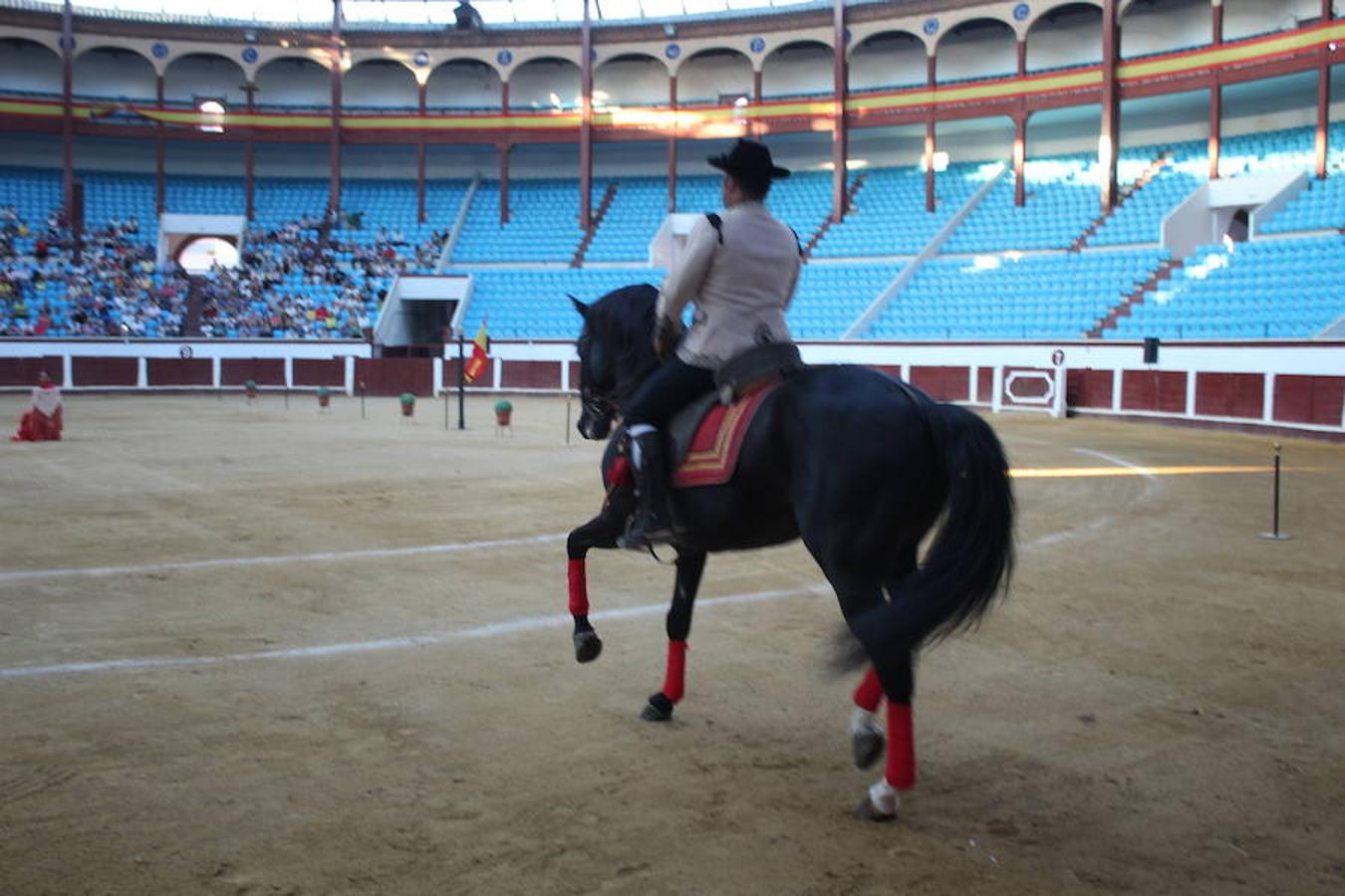 Los caballos y el flamenco