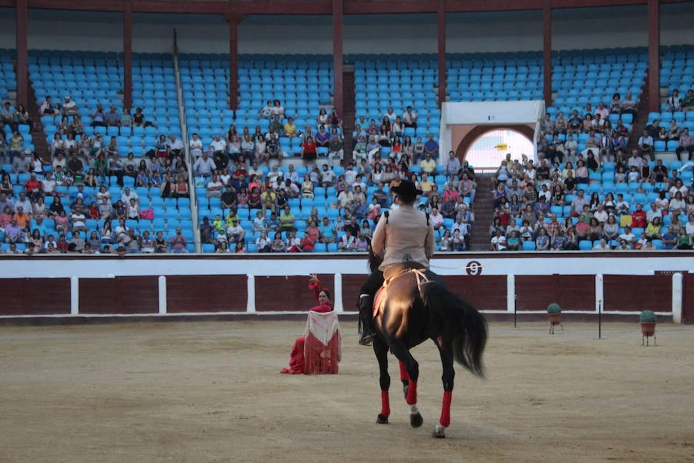 Los caballos y el flamenco