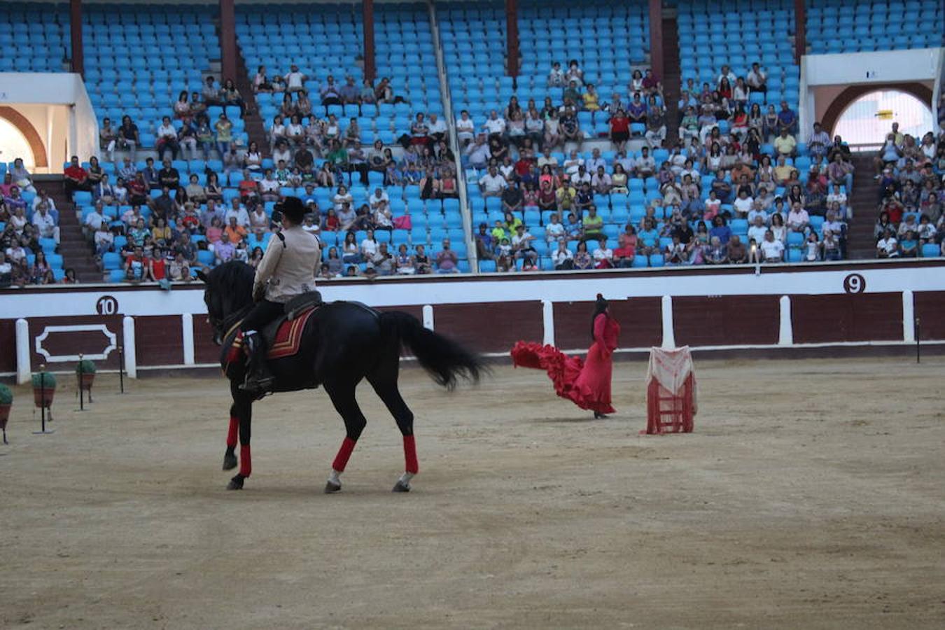 Los caballos y el flamenco