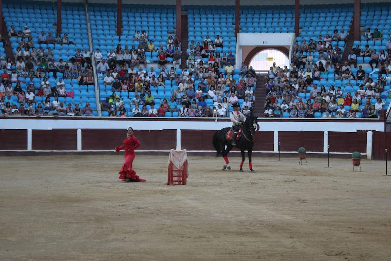 Los caballos y el flamenco