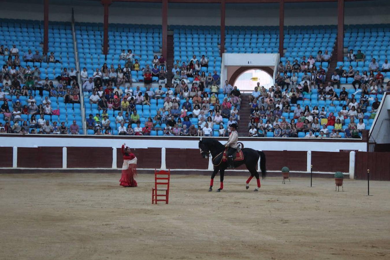 Los caballos y el flamenco