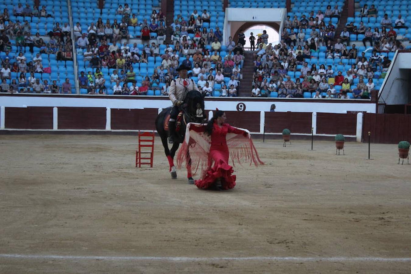 Los caballos y el flamenco
