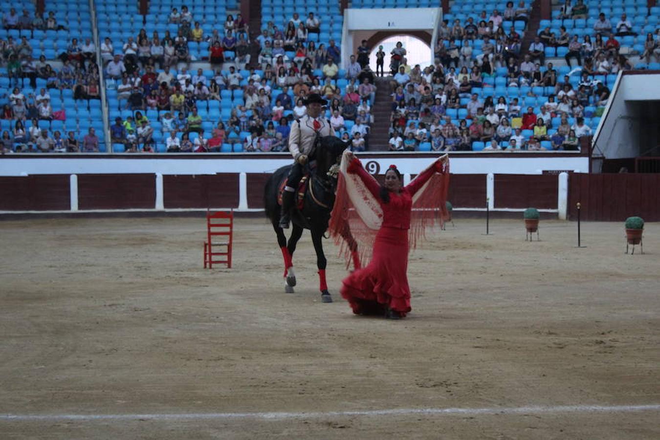 Los caballos y el flamenco