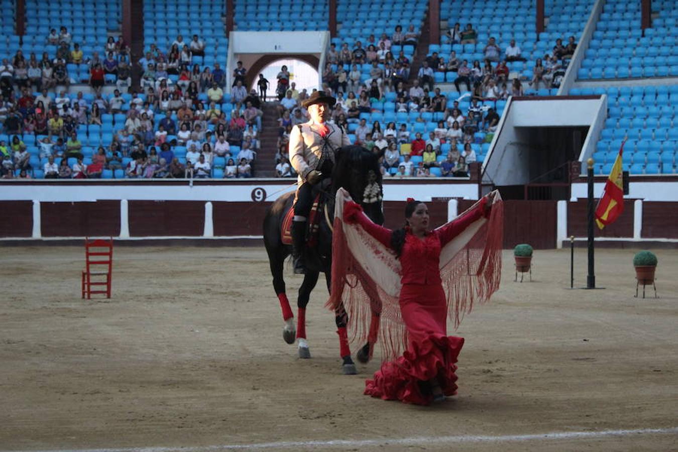 Los caballos y el flamenco