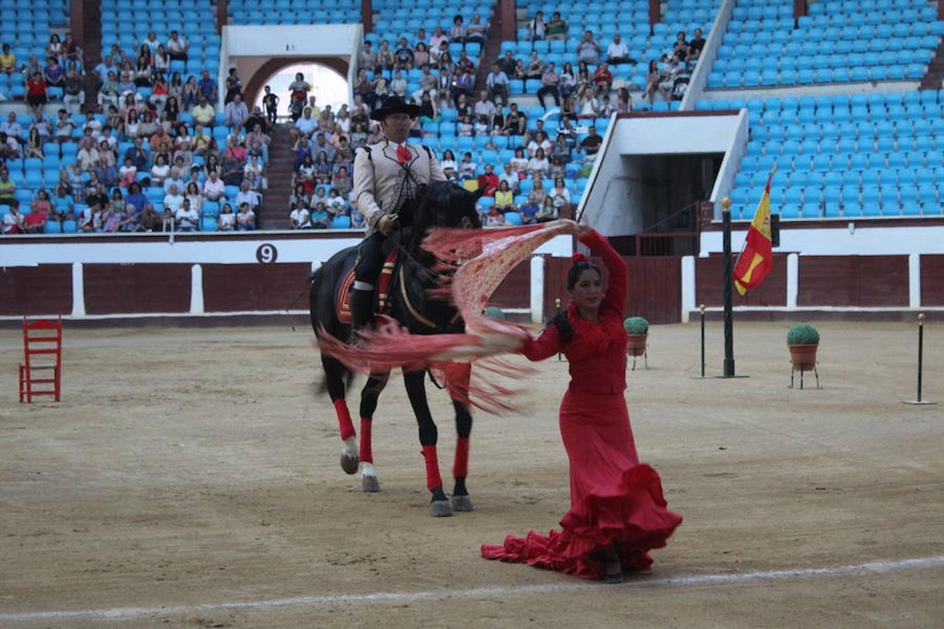 Los caballos y el flamenco