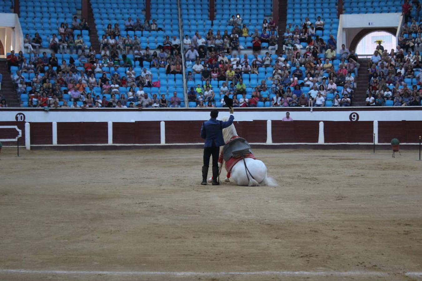 Los caballos y el flamenco