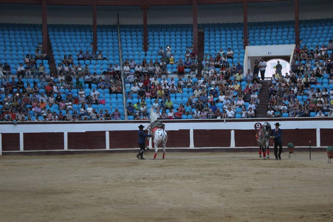 Los caballos y el flamenco