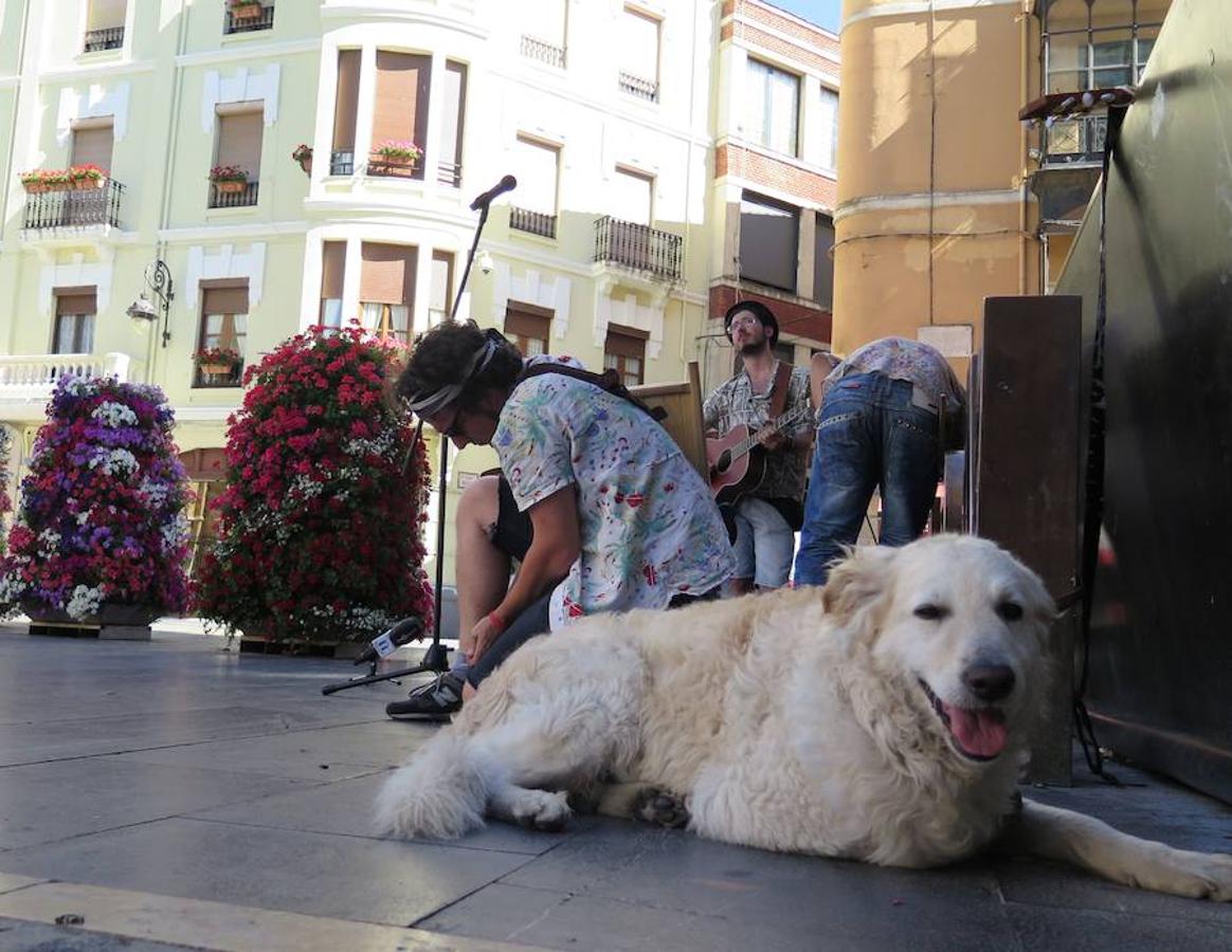 Los Blues Lee &#039;hacen el gamberro&#039; en León