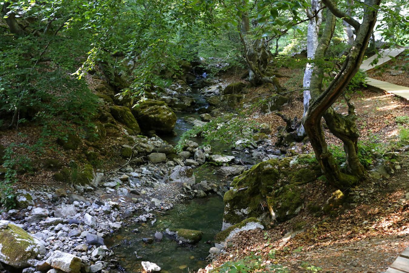 Reserva de la Biosfera Alto Bernesga