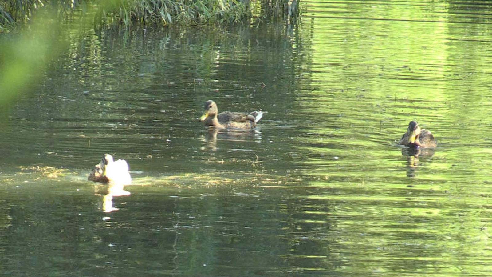 La Candamia, un lugar para el ocio