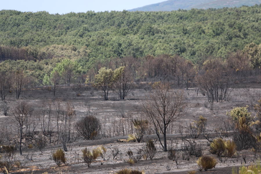 Vestigios tras el incendio