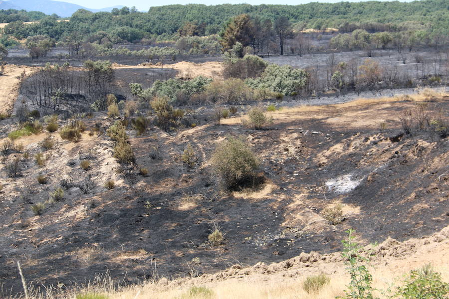 Vestigios tras el incendio