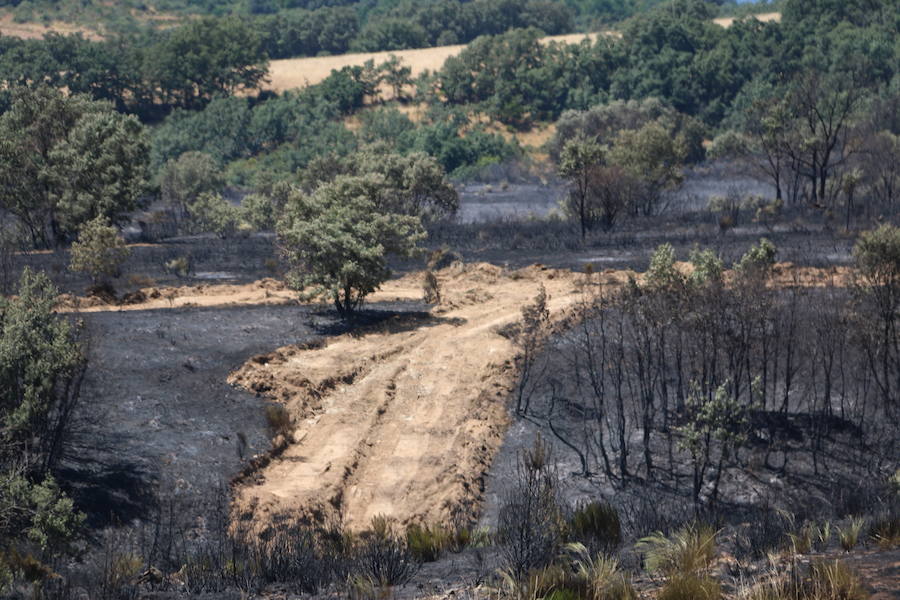 Vestigios tras el incendio