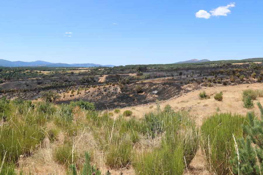 Vestigios tras el incendio