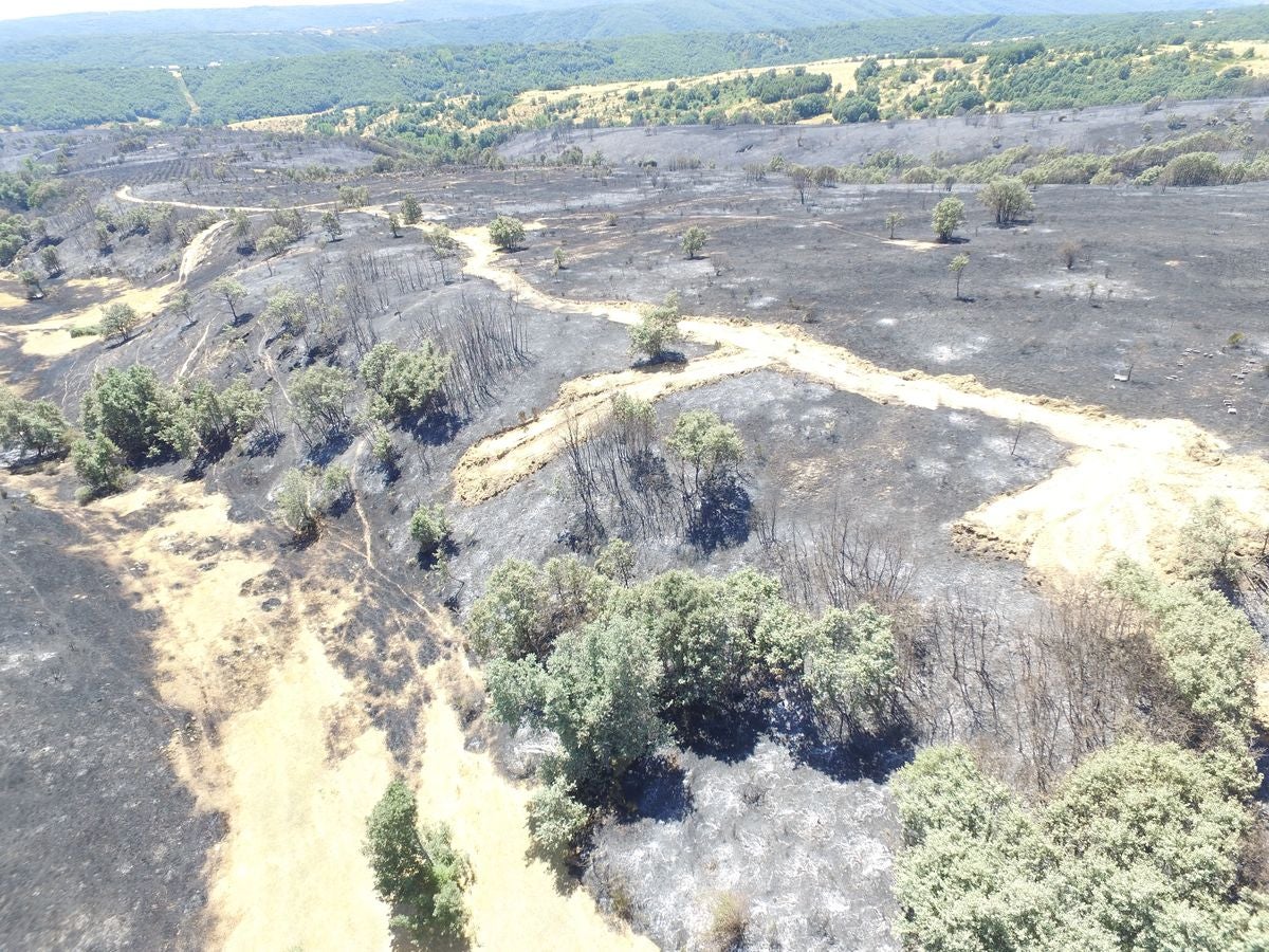 Vestigios tras el incendio