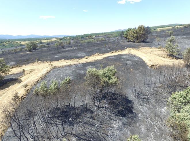 Vestigios tras el incendio