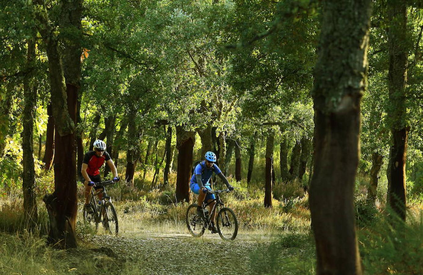 Descubre los secretos de El Alcornocal