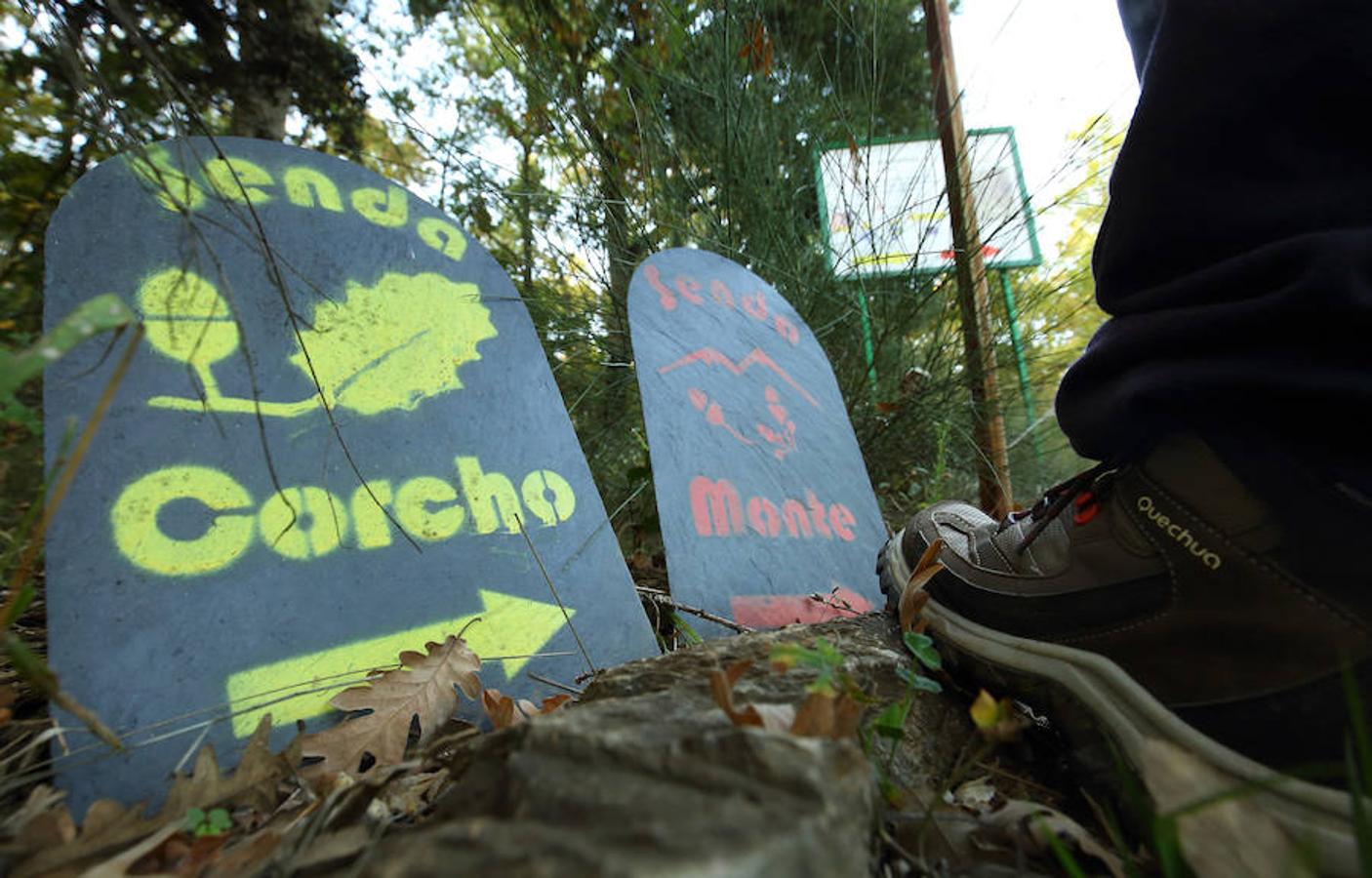 Descubre los secretos de El Alcornocal