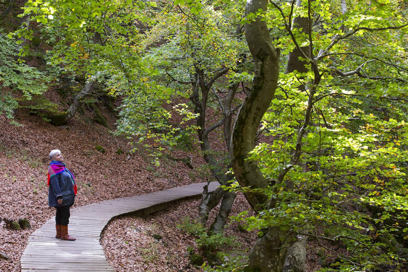 El Faedo, un cuento de hadas