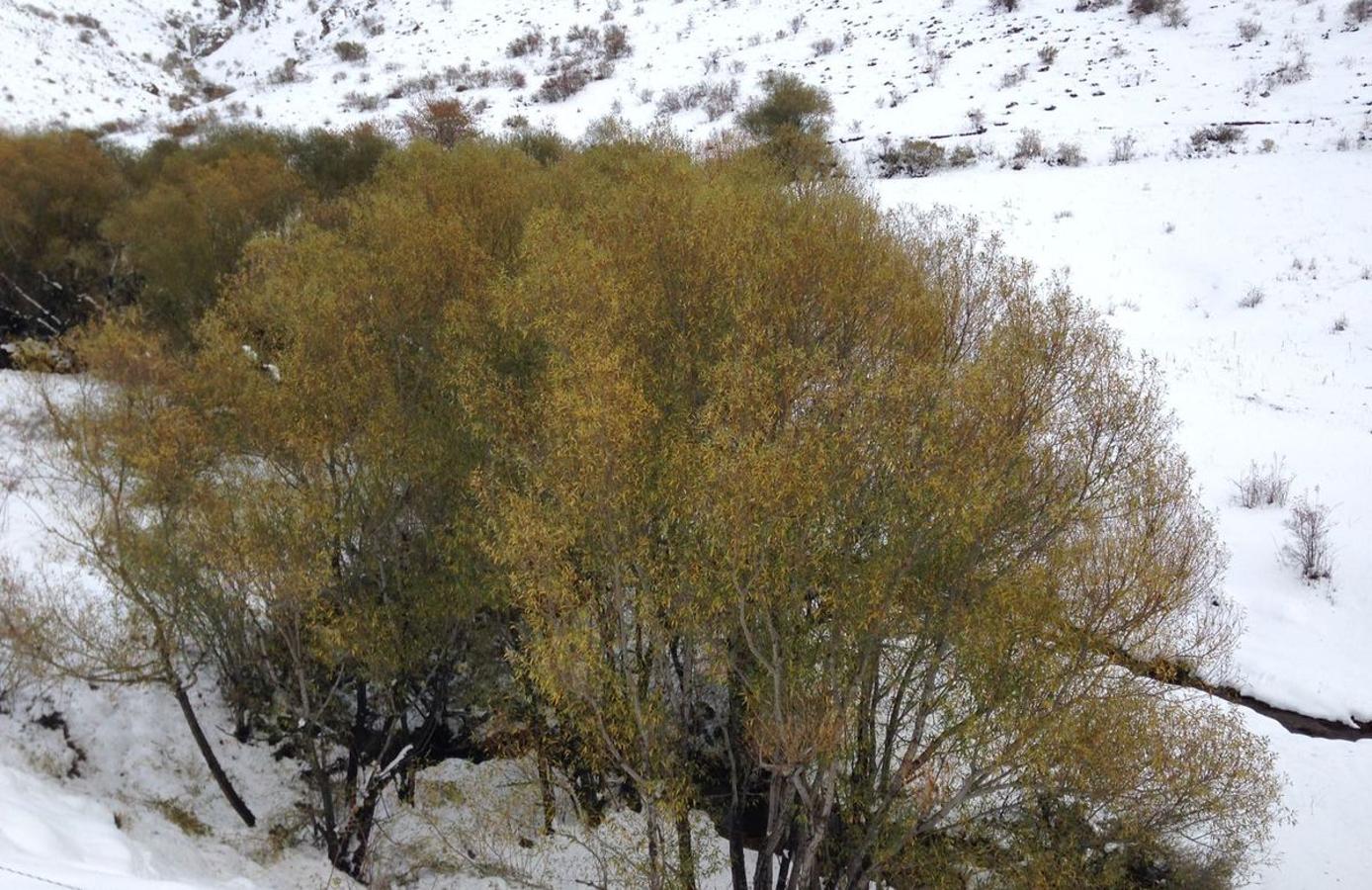 León, entre nieves