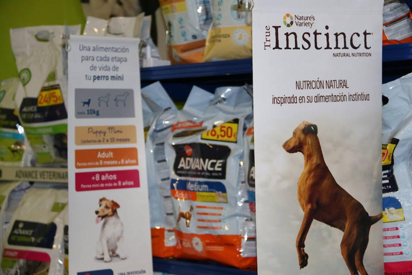 Presumidogs, el cuidado más coqueto