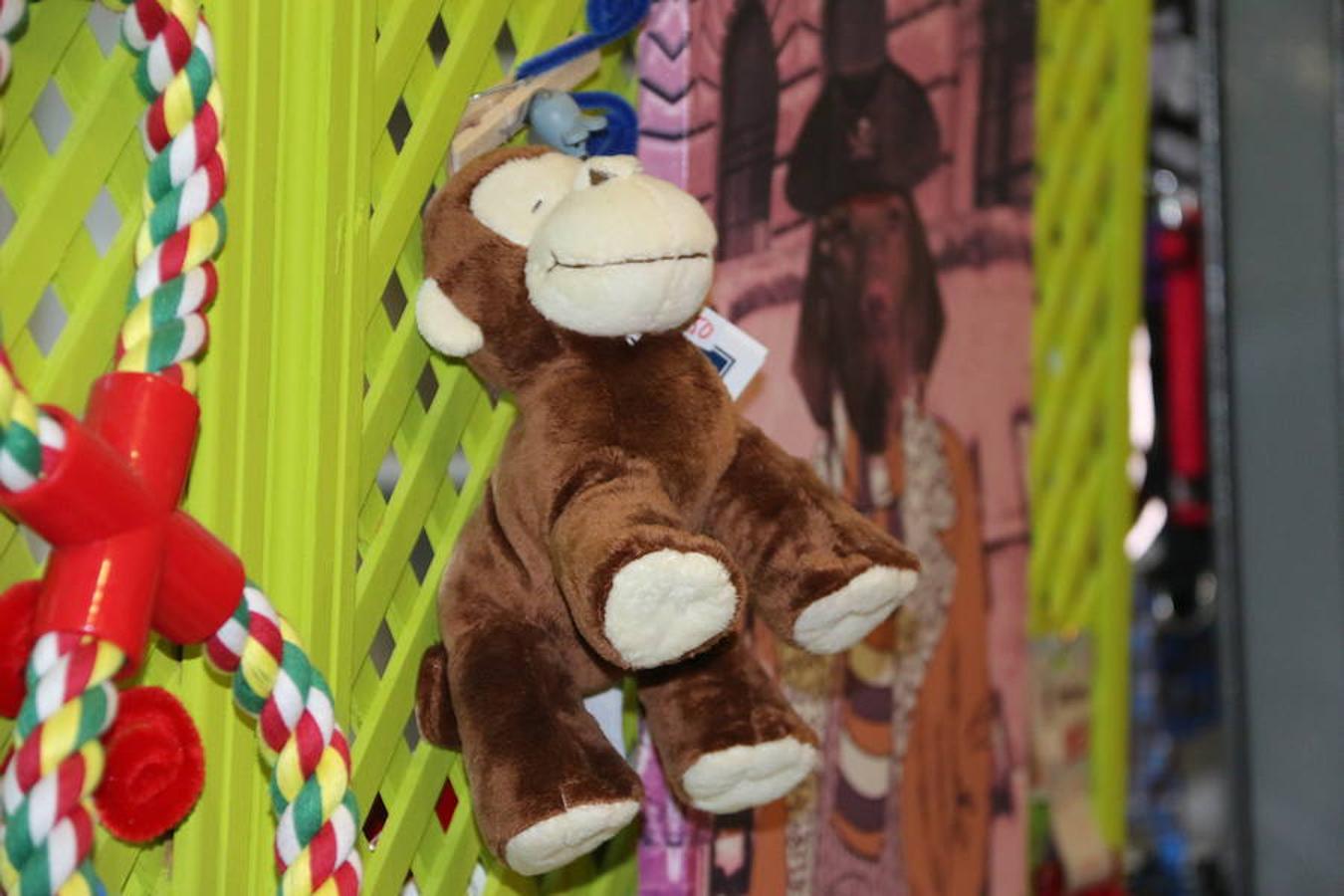 Presumidogs, el cuidado más coqueto