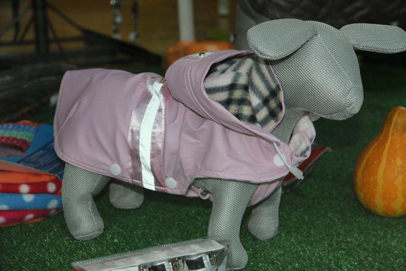 Presumidogs, el cuidado más coqueto