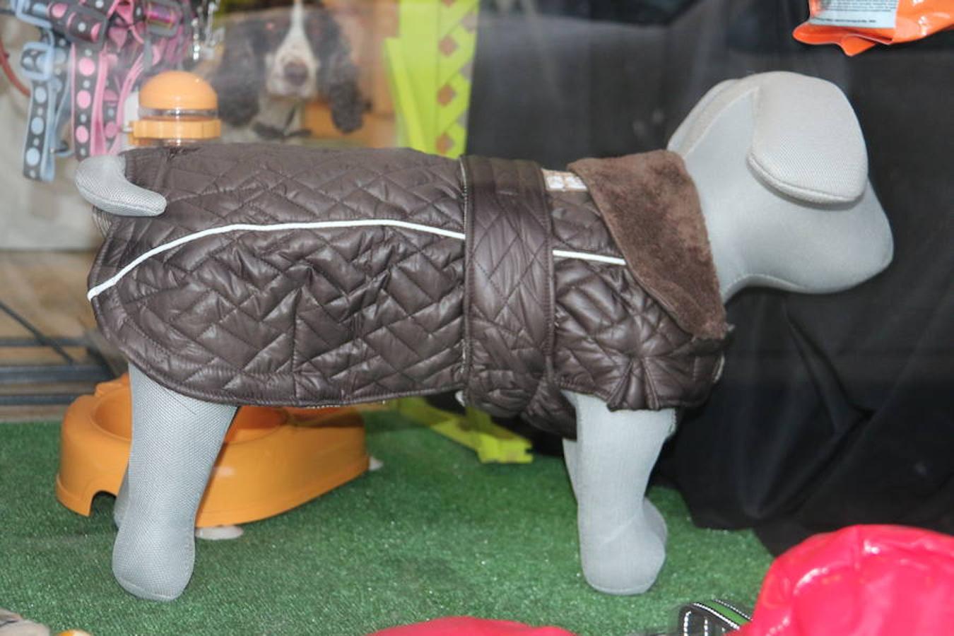 Presumidogs, el cuidado más coqueto