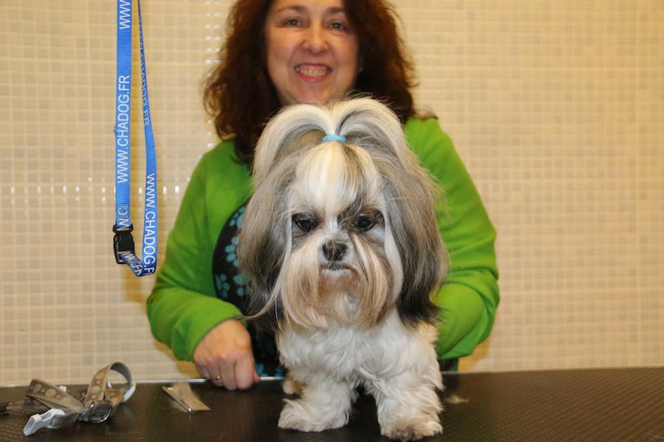 Presumidogs, el cuidado más coqueto