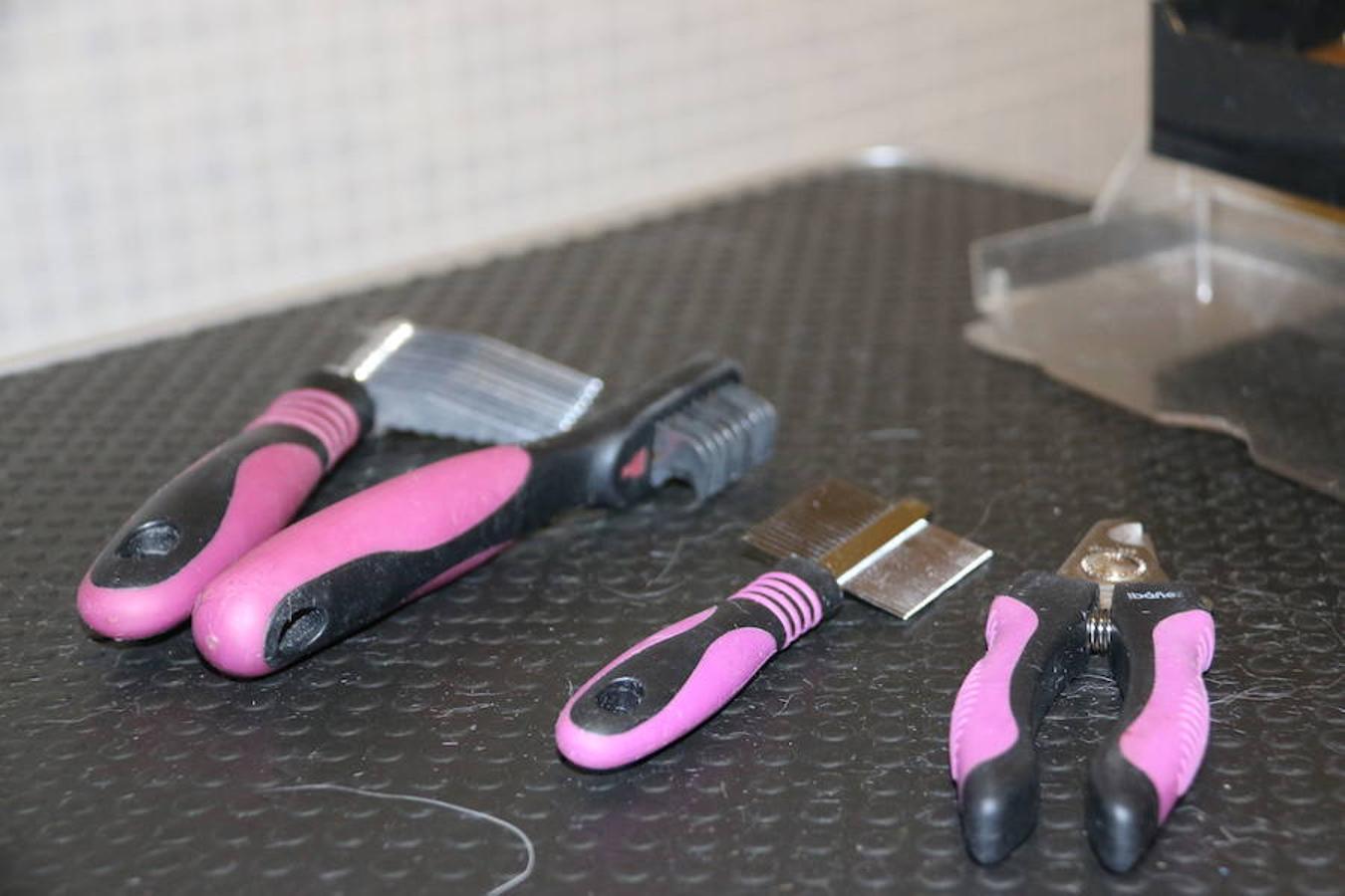 Presumidogs, el cuidado más coqueto