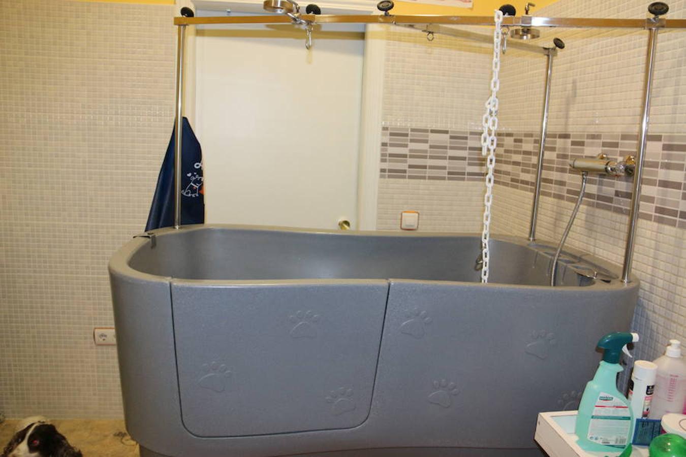 Presumidogs, el cuidado más coqueto