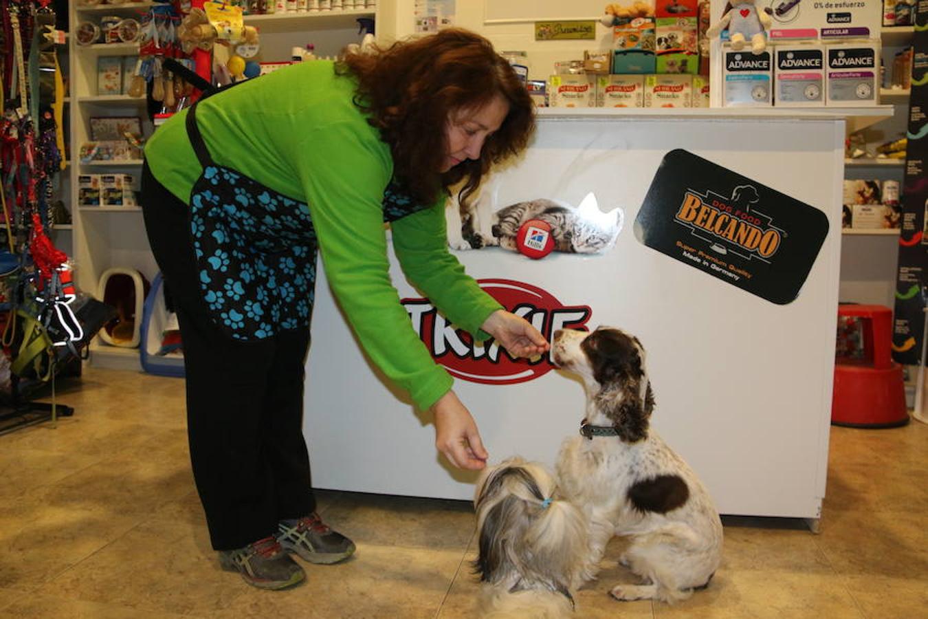 Presumidogs, el cuidado más coqueto