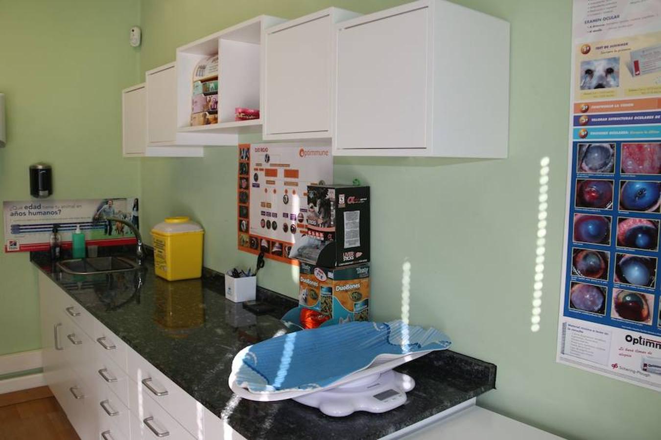 Clinica Veterinaria Arturo Blanco Benéitez. 