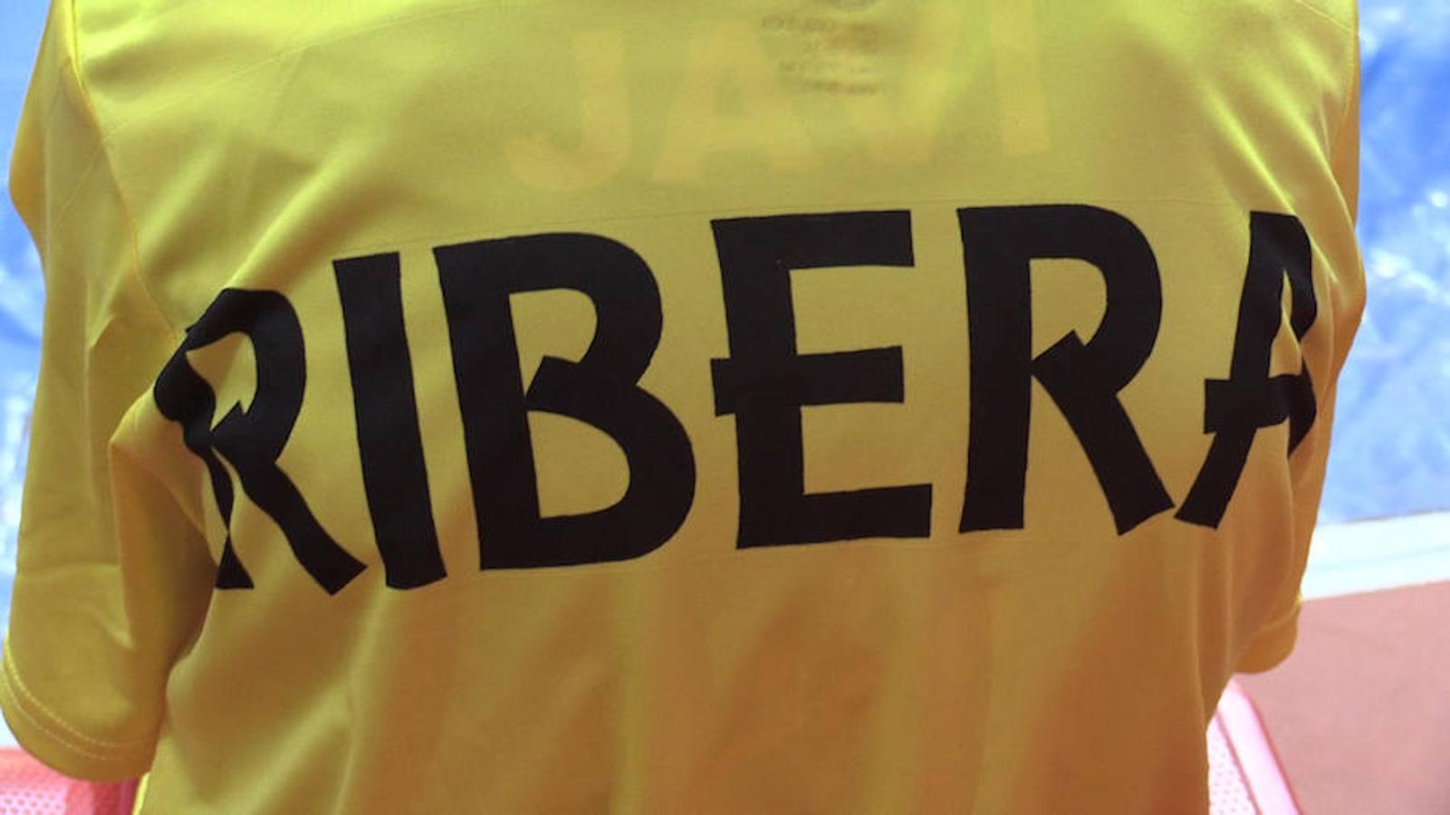 León dividida por la luchar