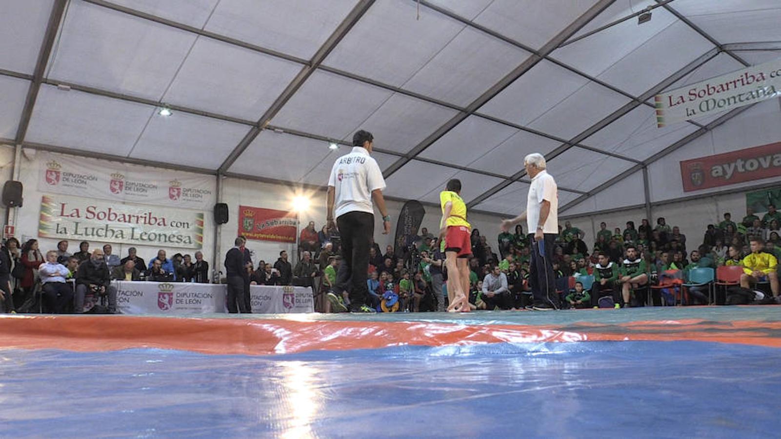 León dividida por la luchar