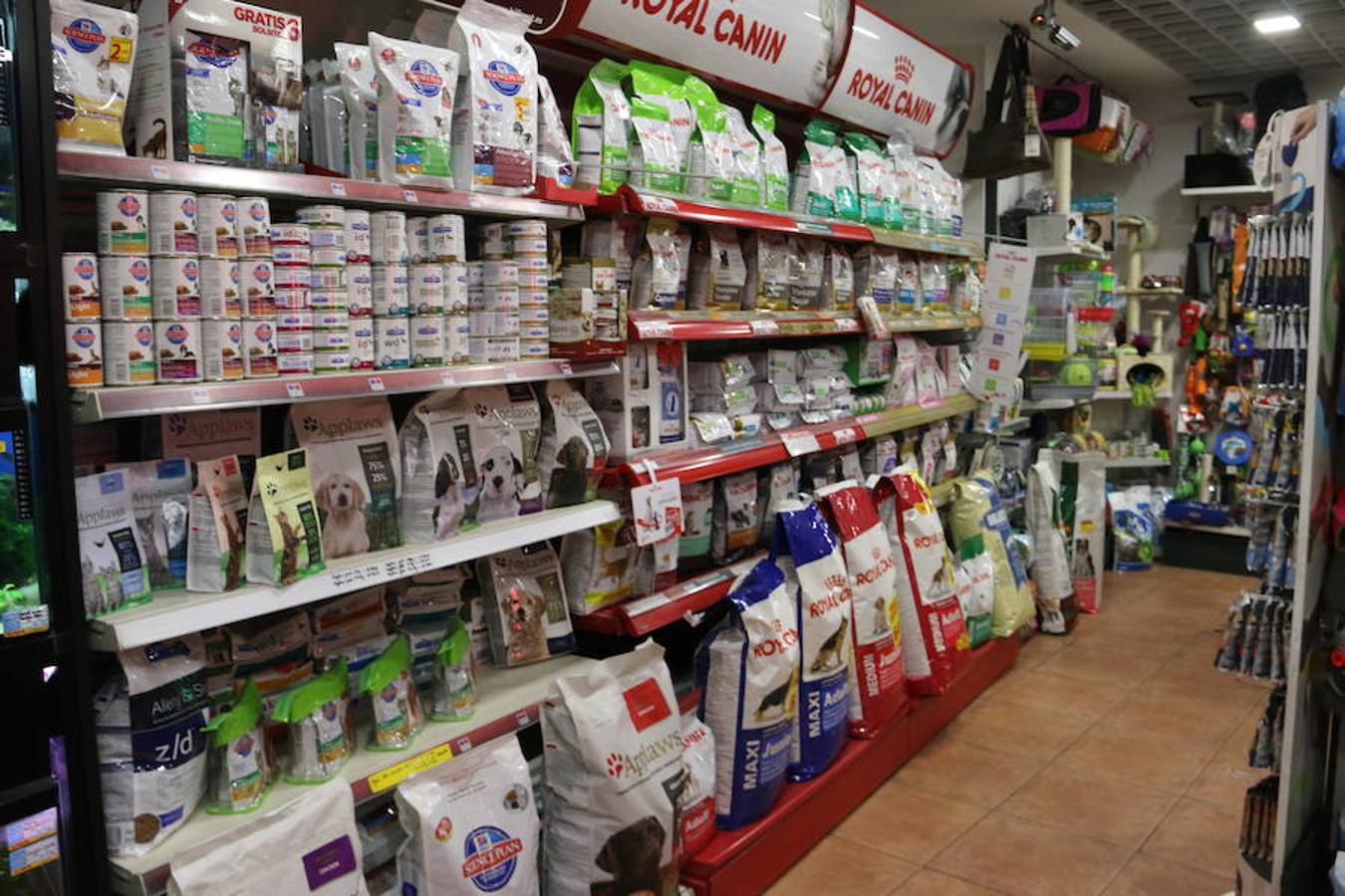 Axolotl, una tienda de mascotas diferente