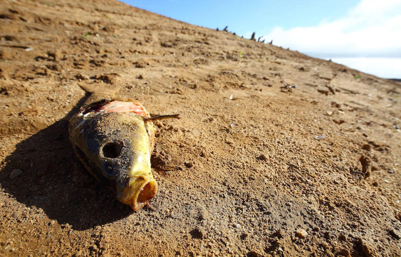 El pasado que yace bajo las aguas