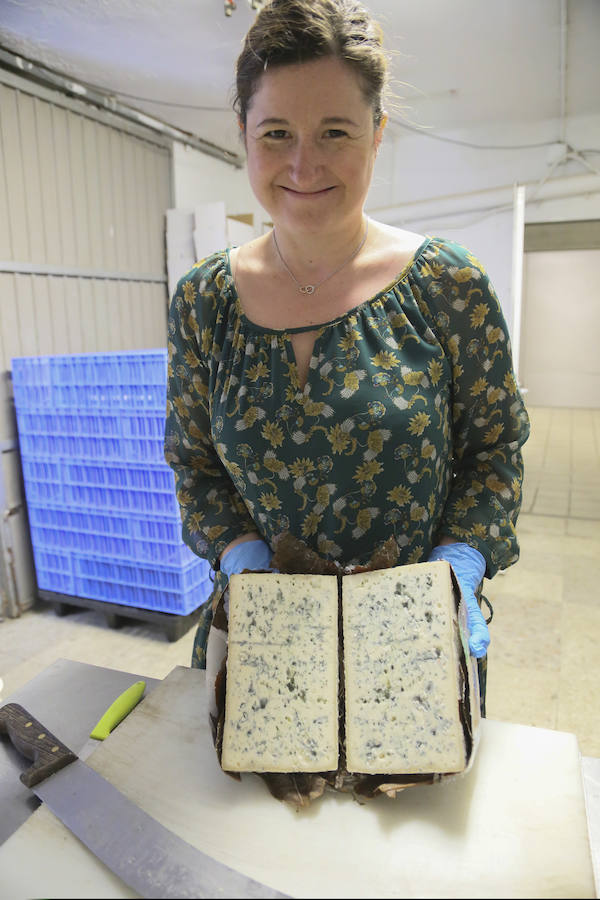 Picos (increíbles) de Europa