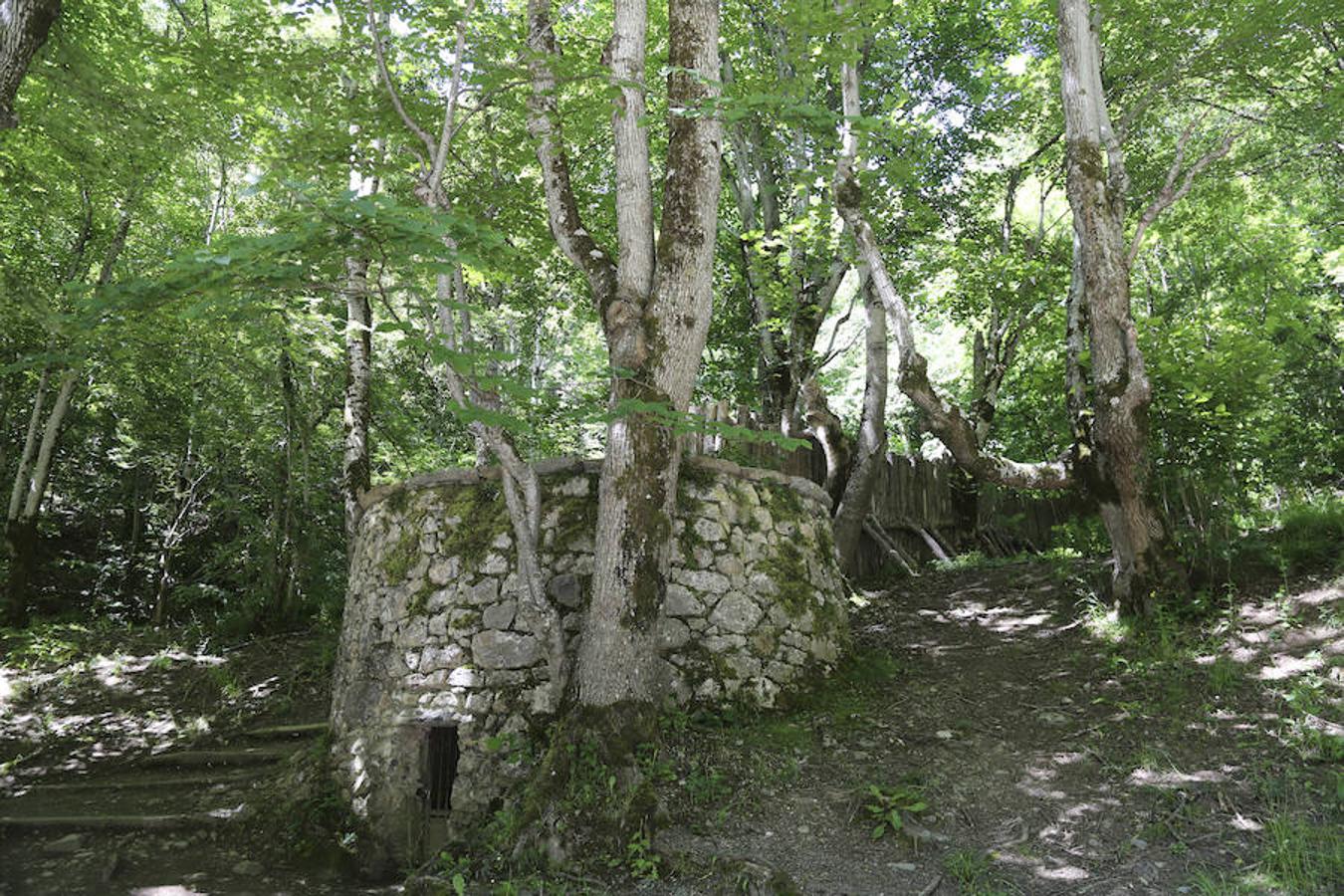 Picos (increíbles) de Europa