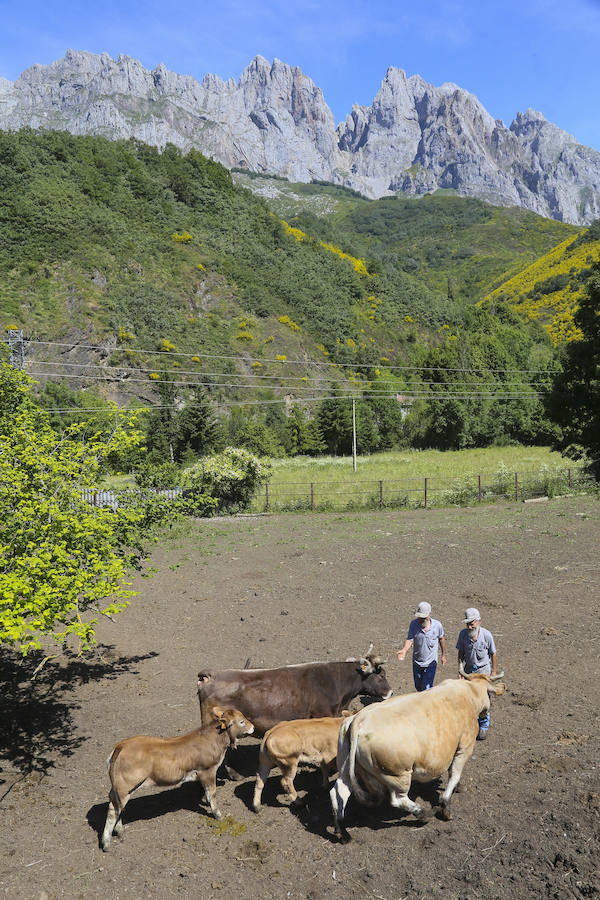 Picos (increíbles) de Europa