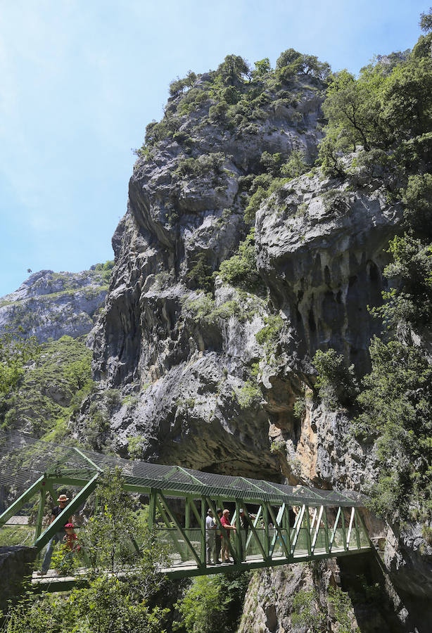 Picos (increíbles) de Europa