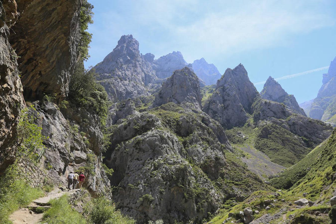 Picos (increíbles) de Europa