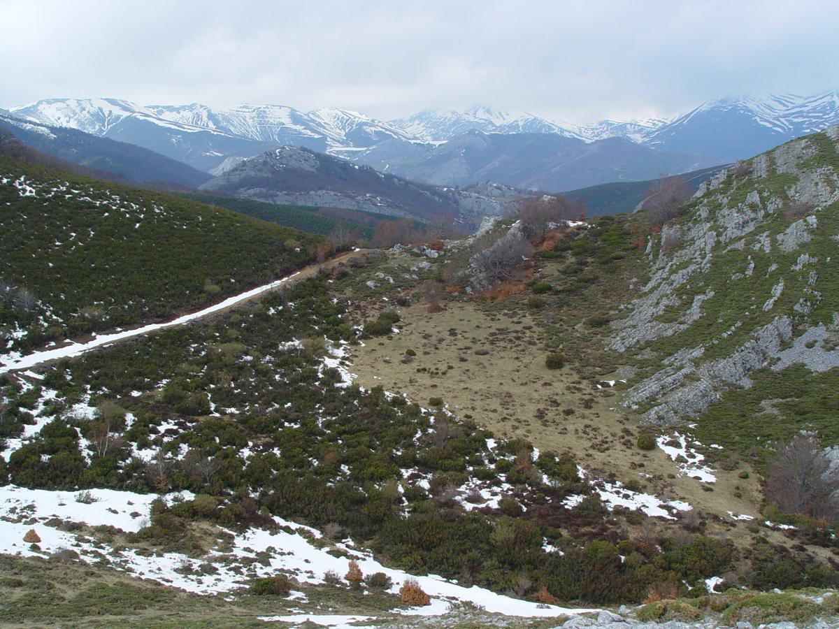 Subida al Pico Susarón