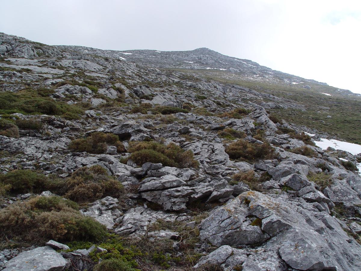 Subida al Pico Susarón
