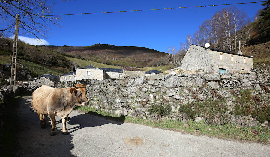 60 Aniversario del incendio que arrasó la localidad de Suarbol