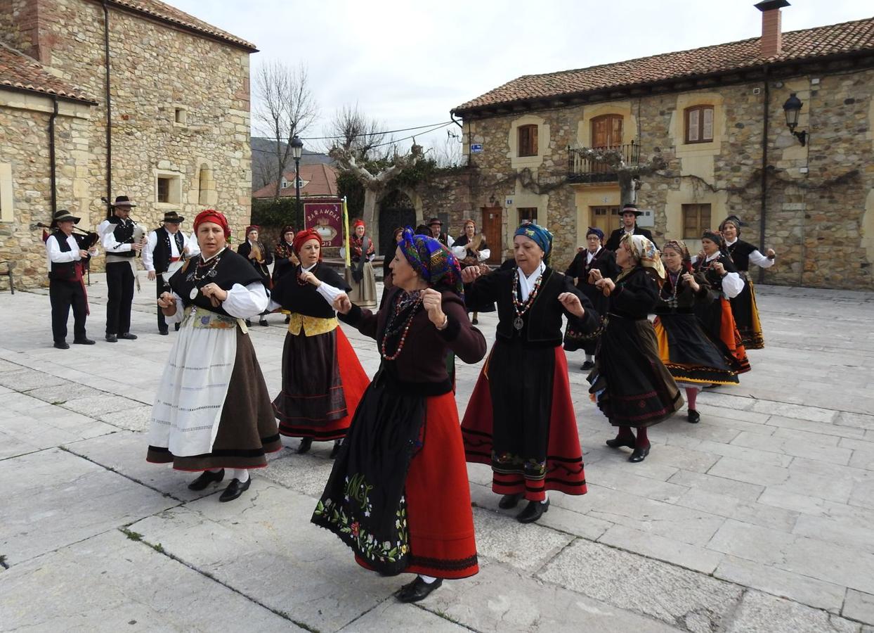 Gallos únicos, moscas únicas